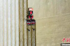 “科技范儿”十足 新疆阿克苏市北斗导航智能播种玉米图片