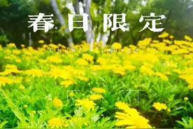 五一来岳麓山橘子洲游玩请提前预约！一文教会你如何操作图片
