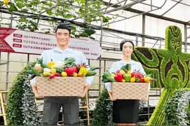 菜博会八号馆：“蔬菜+文化”绘出美画卷图片