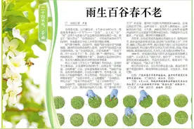 节令之美·谷雨丨雨生百谷春不老图片