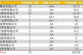 烧烤能否带热淄博城投债：获地方金融资源支持的力度较强图片