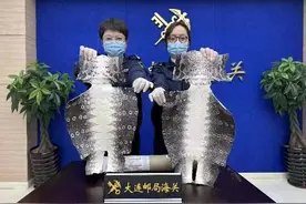 大连邮局海关查获2张巨蜥皮，巨蜥为国家一级保护野生动物图片