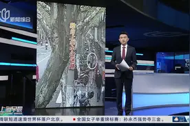 “历练”儿子闹乌龙 娃独自上学中途迷路结果…图片