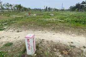 “拆绿还耕”引发关注，该问问谁将耕地变成了绿地图片