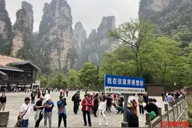 超5万人停止售票！4月23日起，张家界国家森林公园实行分时分站预约购票入园图片