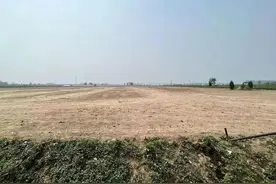 女杂技演员坠亡事件，更多细节披露图片