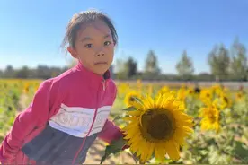 百变蛋壳｜烟台中小学生习作园地图片