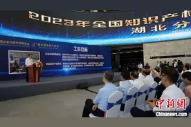 湖北建立涉侨知识产权创造保护合作机制图片