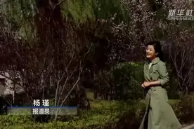 聚焦高质量发展丨黄土高原的“花”样打开方式图片