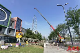 好鸟枝头亦朋友，政协委员连线联手救护雏鸟图片