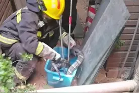 高温天气 “大蛇”频频出没 消防一一捕获图片