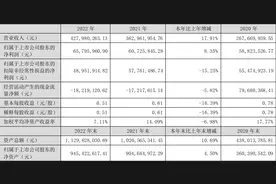 喜悦智行：2022年净利润同比增长8.35% 拟10转3股派2元图片