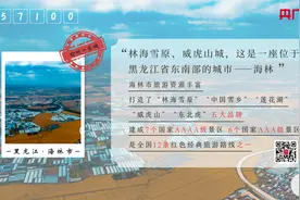 聆听一座城｜林海雪原  威虎山城图片