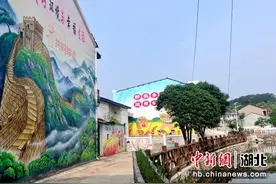 黄石临空经济区黄金湖村：软弱涣散村的蝶变之路图片