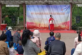 泰山区上高街道华新社区开展“我们的中国梦 文化进万家”演出活动图片