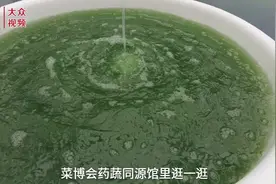 水桶里长出了螺旋藻图片