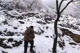 中雨！中到大雪！河北未来三天……图片