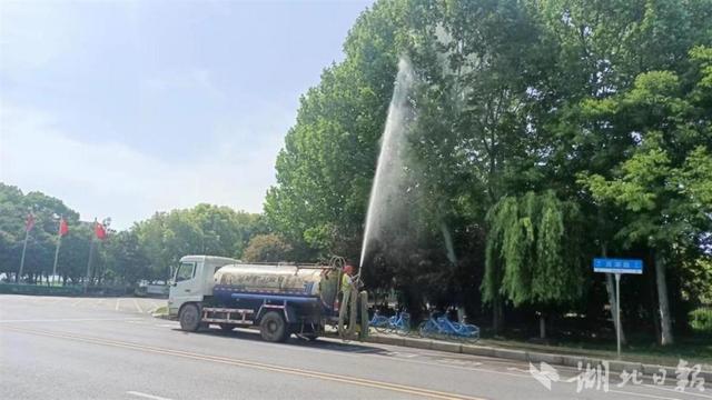 武汉东湖新技术开发区探索果絮综合治理模式，法桐飘絮困难有望得到缓解