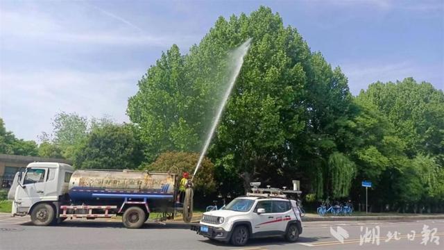 武汉东湖新技术开发区探索果絮综合治理模式，法桐飘絮困难有望得到缓解