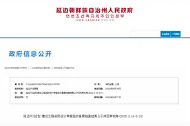 吉林省延边州(延吉)建设工程消防设计审查验收备案抽查结果公示项目审批单(2023.3.16-3.31)图片