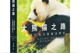 我们为什么爱大熊猫？《大熊猫之路》讲述不为人知的大熊猫故事图片