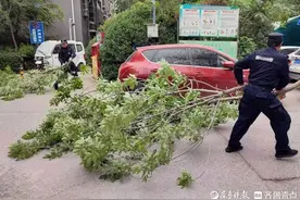 大风吹断树枝，吹翻三轮车，幸亏他们救助及时图片