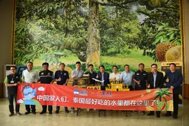 泰国龙宫果、南多美芒果等18吨水果组团包机来华，36小时上架盒马图片