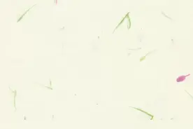 各地烧烤“争宠”，别忘了宠你的身体图片