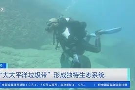 数百种海洋生物在垃圾上“安家落户”！“大太平洋垃圾带”形成独特生态系统图片