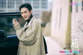 “姐狗恋”，怎么谈才不招人嫌？图片