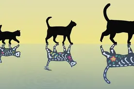 迄今最重“薛定谔的猫”出现，有望催生更大更稳健量子比特图片