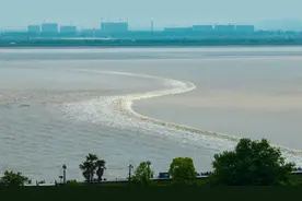 钱塘江春潮汹涌 今日三月初三看大潮直播图片