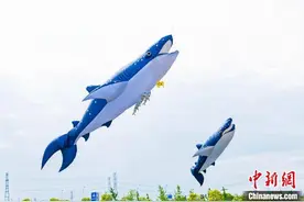 探秘“风筝世界”：人们为什么喜欢“霸屏”蓝天？图片