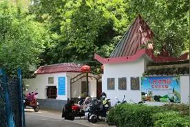 红星深度丨中小动物园开始“衰老”图片