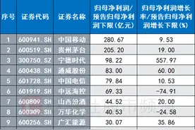 新旧“股王”豪赚百亿 美妆龙头暂居“增速王”图片