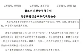 独家丨藏格矿业被解聘证代疑似发长文质疑  董秘回应：清者自清，无需较劲；公司：与事实不符图片