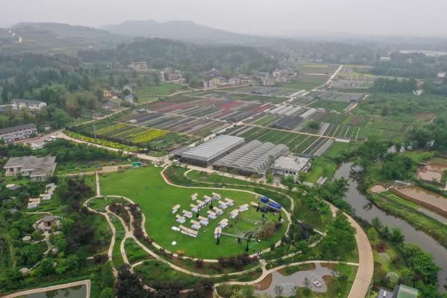 （社会）重庆大足：花卉产业为乡村振兴添香增色