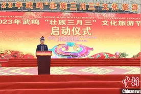中国壮乡武鸣办“三月三”文旅节 创新打造民族文化品牌图片