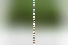 上海这些宝藏郊游地，带你去“野”！图片