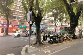 民呼我应｜非机动车停放区“堵住”斑马线？罗湖东湖街道办事处整改不合理标线并加强路面巡查图片