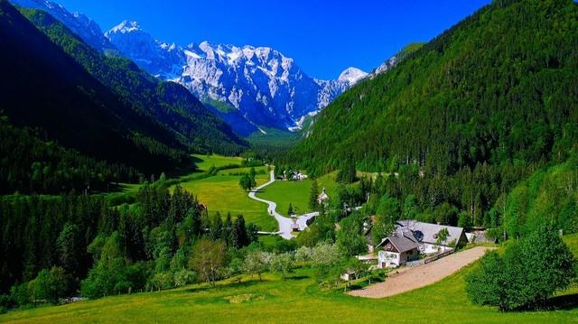 ������� �������� VIDDA��ɫ��������ͶӰC1S����