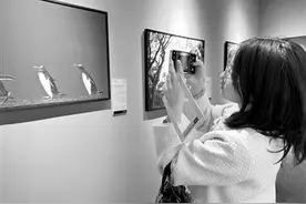 《超越130年国家地理经典影像大展》暨世界地球日主题活动启幕图片