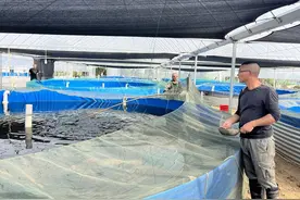 温室循环水养鱼 打造绿色致富新模式图片