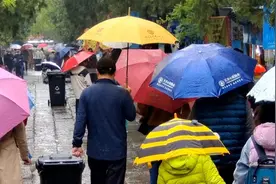 果然视频｜济南春雨潇潇不停歇，撑伞爬山也挺有韵味图片