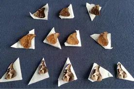 蝴蝶标本虽美，禁止携带入境图片