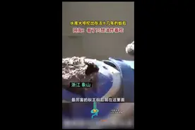 水库大坝挖出存活十几年的蚁后，网友:看了只想油炸着吃图片