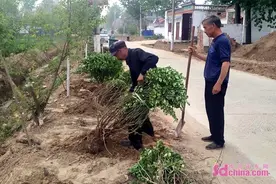 曹县常乐集镇：完善设施打造微景观，提升人居环境“颜值”图片