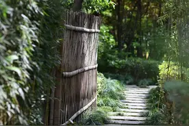 现场｜“紫藤春敘”，一场山房里的上巳雅集图片