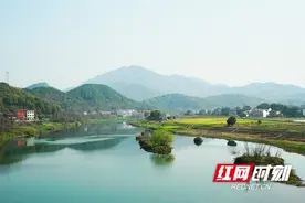 美丽河湖丨渌水河莲石村段：“母亲河”变身“网红地” 绘就生态“新名片”图片