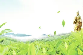 千年活字贯通古今 一盏云雾飘香中外图片